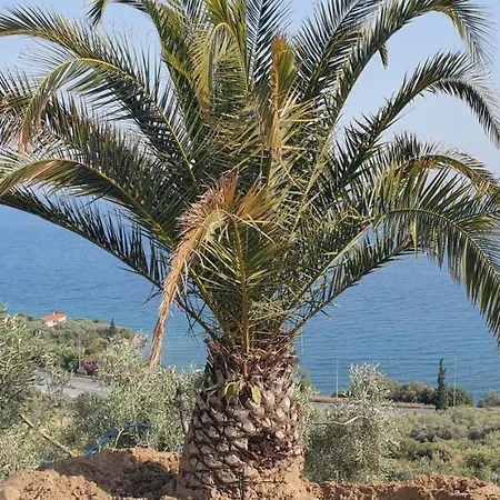 Alba Ocean View Luxury * Néa Ankhíalos